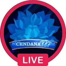 Panduan Lengkap Aplikasi cendana777 untuk Pemula
